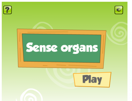 Jogo Orgãos dos Sentido